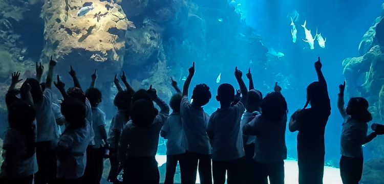Reception at The Aquarium
